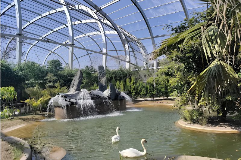 Bird_Park 